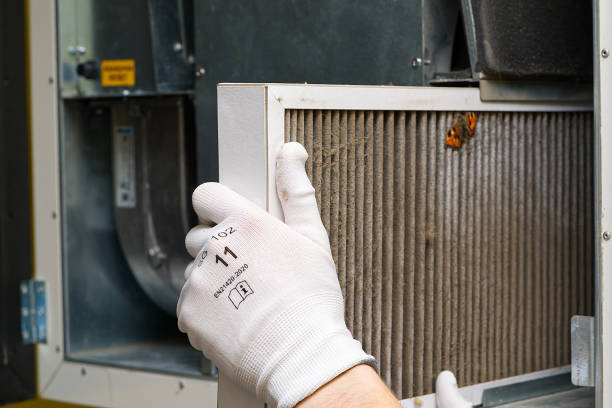 Best Affordable Duct Cleaning Services  in Lawai, HI