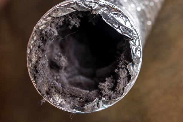 Best Home Air Vent Cleaning  in Lawai, HI